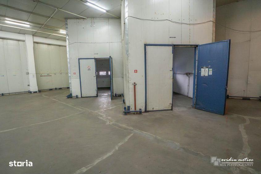 Depozit refrigerare 404 mp si birouri - 7