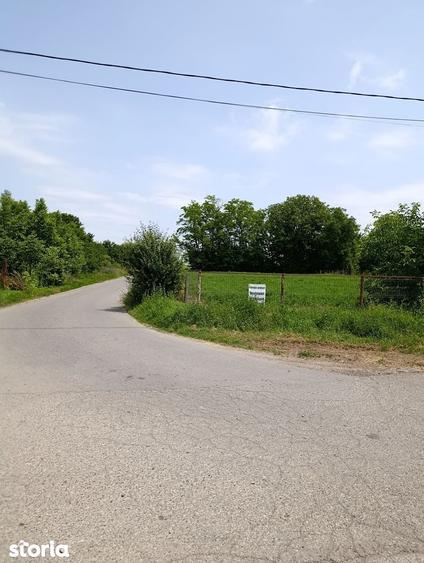 Proiect Greenfield, S.216.967mp, P.U.Z.-Hale, Rezidential, Ilfov. - 7