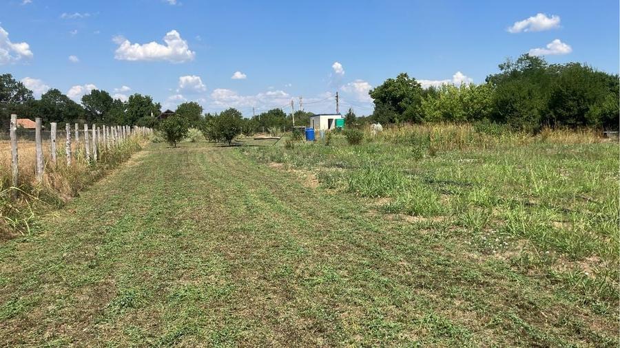 Teren 6.150 mp intravilan Gradistea, Ilfov - 2