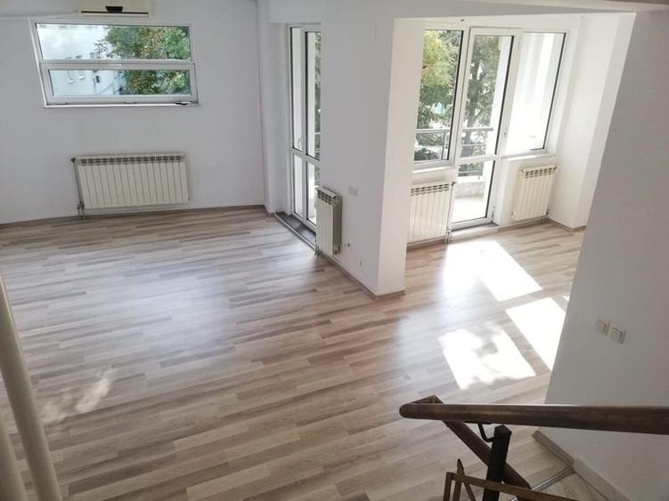 vila la inchiriere in zona Titulescu - 8