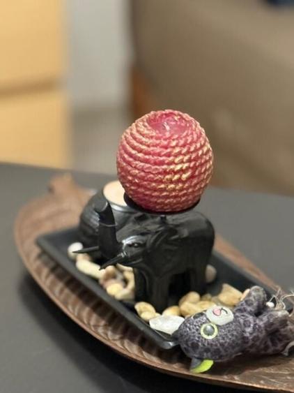 Vila Individuala 6 Camere Metrou la 5 minute Distanta - 13