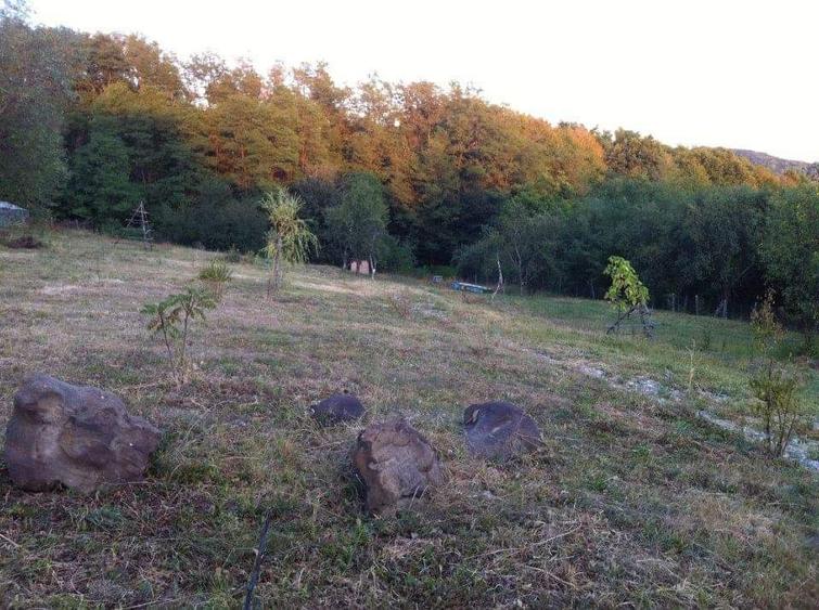 Vand domeniu compus din7 000mp,cu padure ,zona deal-munte Valea iasului Ages - 5