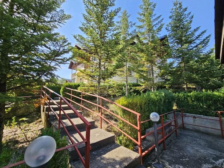 Vila superba de vanzare in Vintila Voda, Buzau D+P+1 si anexe - 8