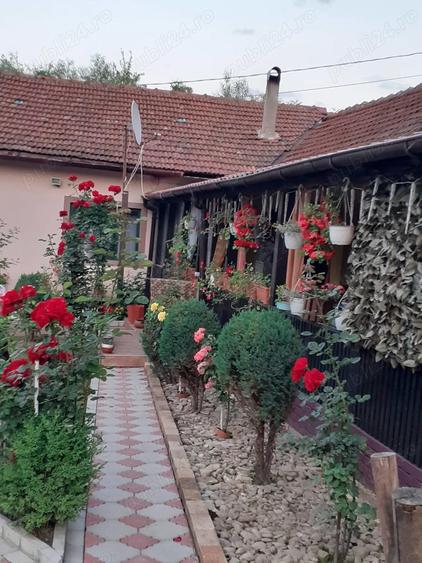 Casa de vanzare : sat. Serel, com.Pui, jud Hunedoara, cu spa?iu comercial ?i iaz de peste. - 10