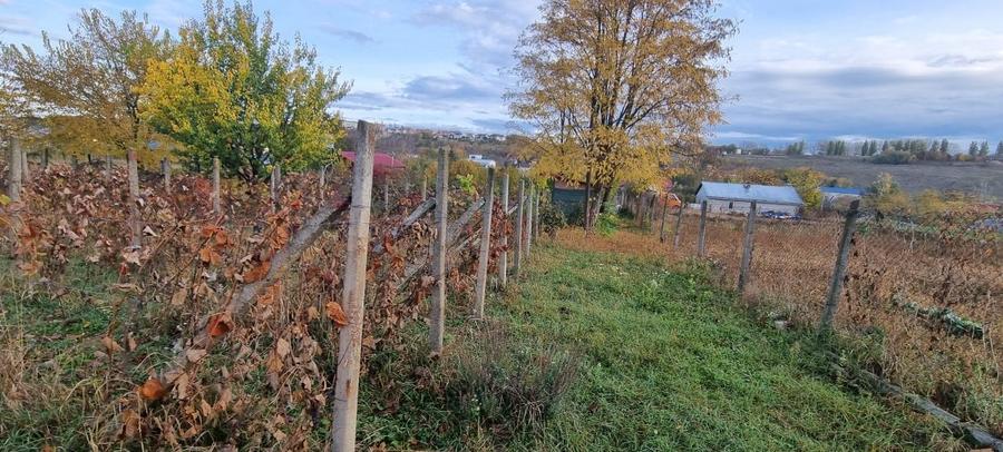 Teren intravilan imprejmuit la intrare in Curtesti - 4