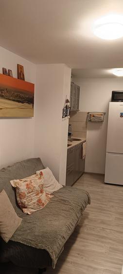 Apartament cu 2 camere nedecomandat în Drumul Carului