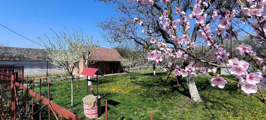 Vand Casa de vacanta - 7