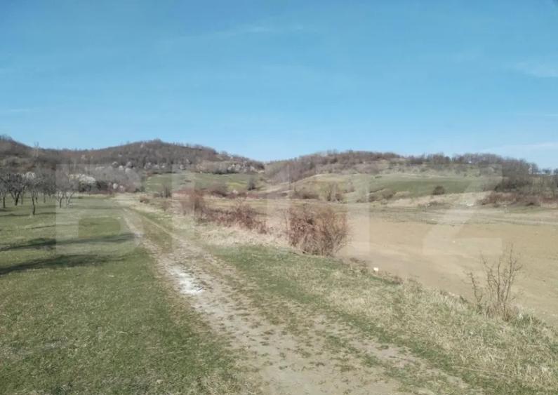 Teren intravilan cu suprafa?a de 9ha, Aninoasa - 4