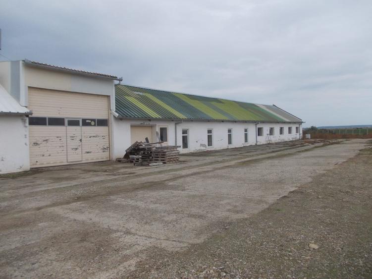 Spatiu depozitare sau uscare - 1