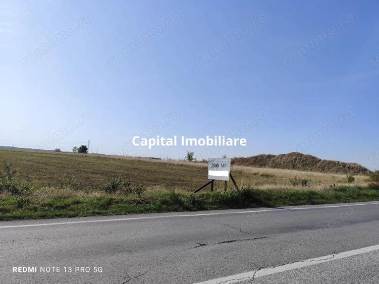 Teren agricol 2500 mp, Cocorastii Colt - 3