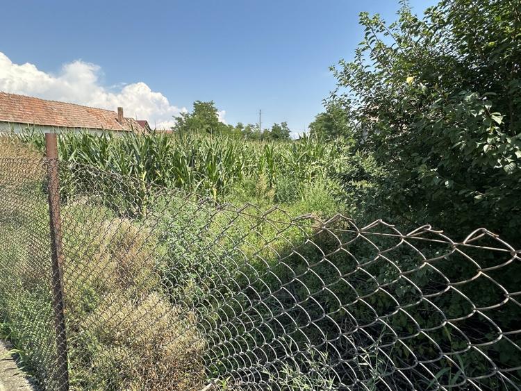 OKAZIE ! Teren Intravilan imprejmuit 2560 mp cu deschidere 29 m Santimbru Galtiu - 4