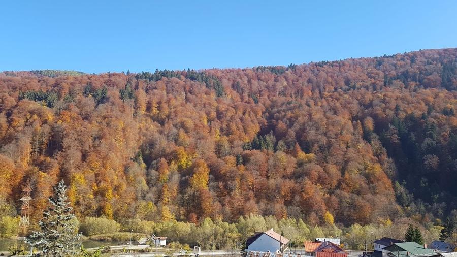 Garsoniera Sinaia Valea Prahovei Parcare Subterana SPA - 8