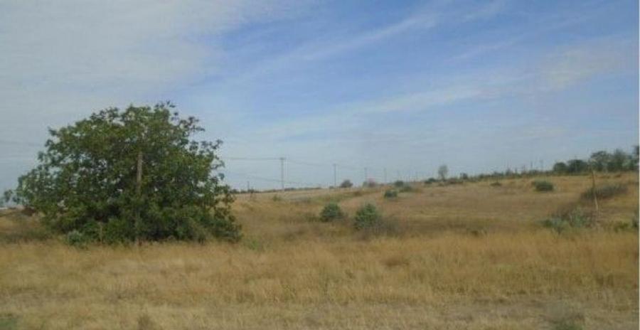 Teren extravilan arabil cota parte 3/32 Smardan, ID: R276... - 11