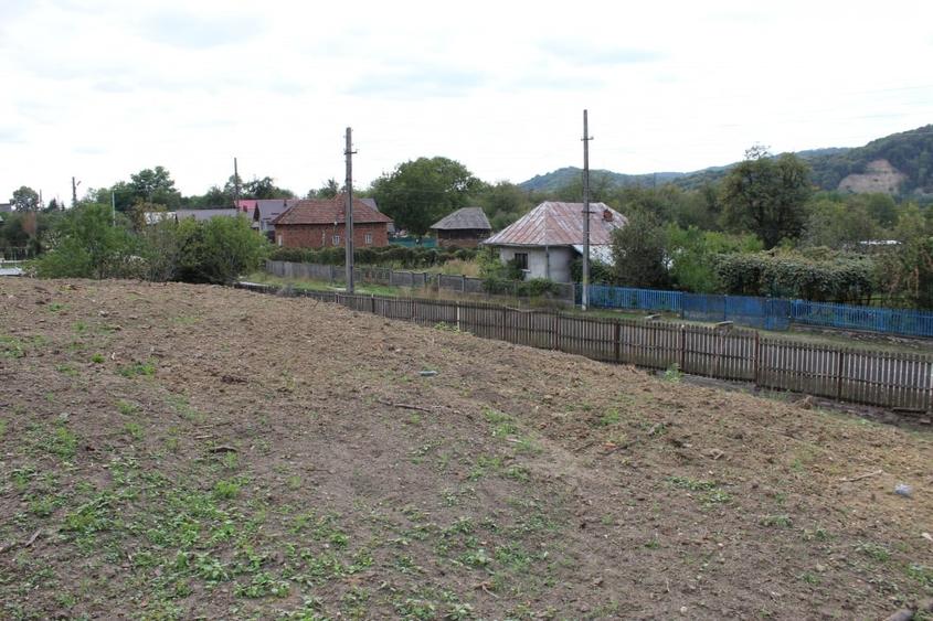 Casa si teren 5.000 mp, Stroesti - 7