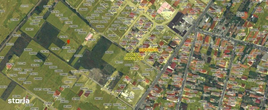 Teren intravilan - Viile Noi/Comarnic- 750 mp, utilitati in apropiere - 3