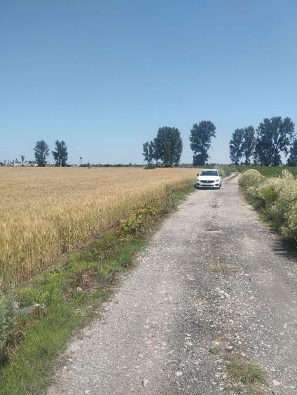 Teren 6500 m - Extravilan - Zona Premium Porc - 7 km de Focsani - 2