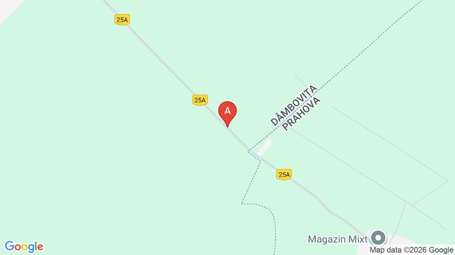 5000mp teren extravilan la asfalt VLADENI 20KM ploiesti  - 1