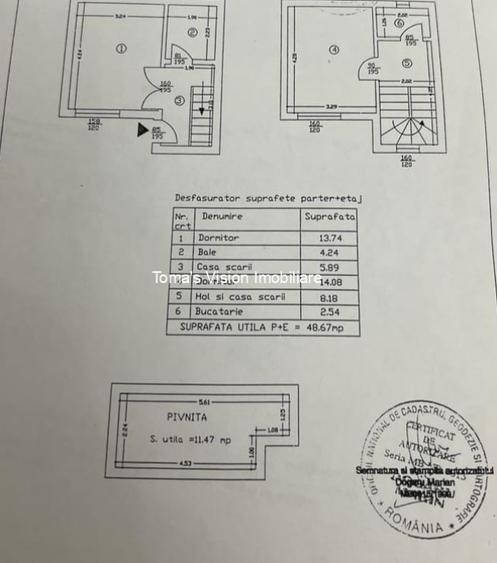 Vanzari Case / Vile Piata 1 Mai - 9
