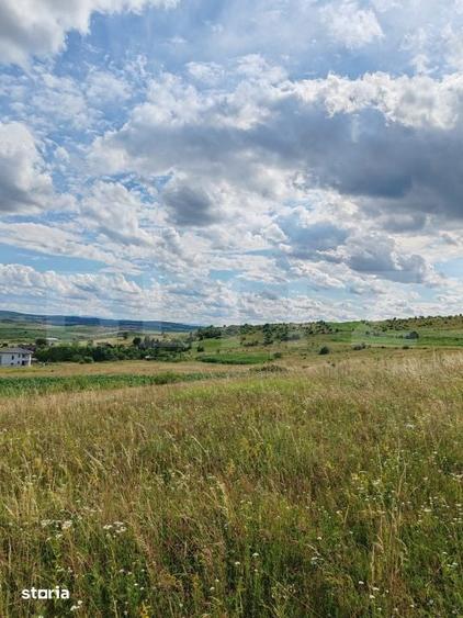 Teren de 4300 mp, în Mihai Viteazu