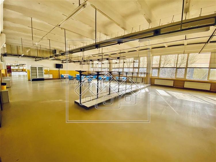 Spațiu industrial, de 1,200 mp, în Terezian