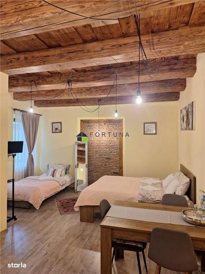 Apartament mobilat si utilat, centrul istoric - 3