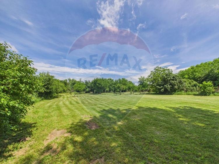 Casă individuală cu 11 camere cu Teren 5134 Mp în Gruiu