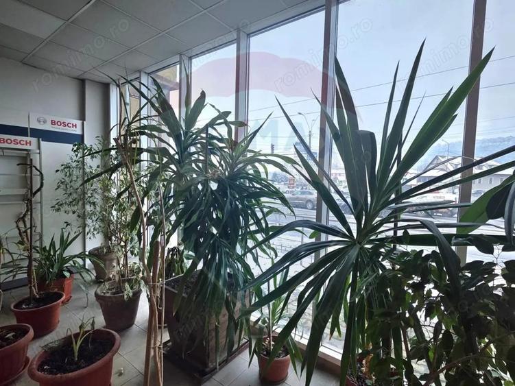 Spatiu de vanzare sau de inchiriat- Sighisoara - 9