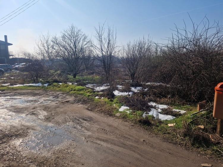 Teren intravilan de vanzare, Jilava, Strada Garii - 3