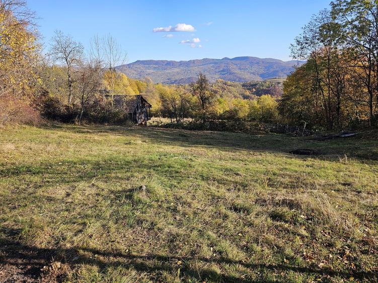 Loturi de Vanzare! - 10