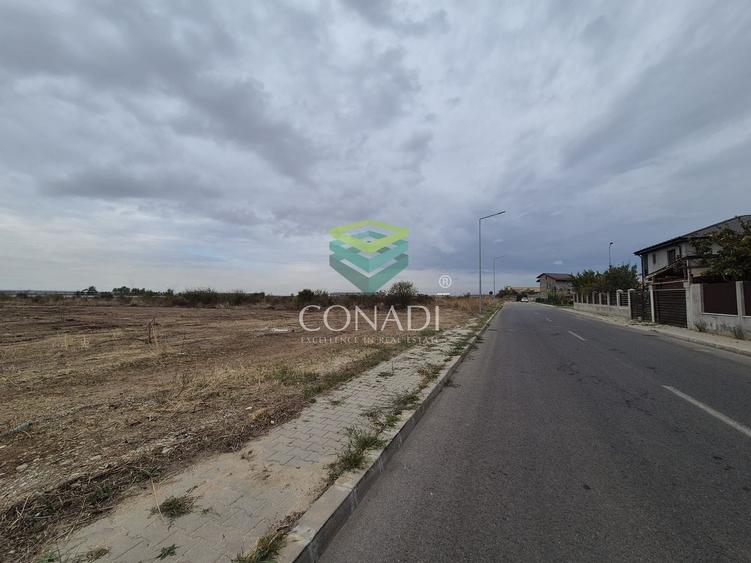 Teren Chitila - 8.700 mp - pretabil pentru hale - 6