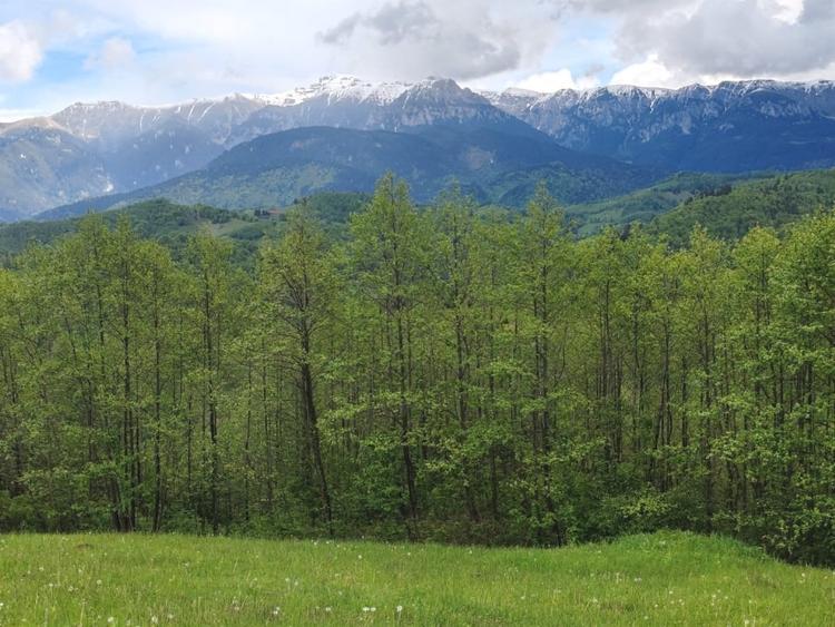 Oportunitate rara! Teren 7.283 mp, investitie garantata - 8