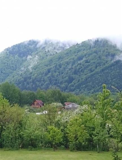 Intr o pozitionare cu apa curgatoare si incantare montana, Dejani, Fagaras - 4