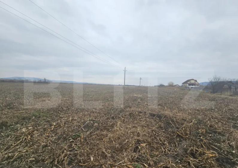 Teren extravilan 9000 mp, Ocna Mures - 2