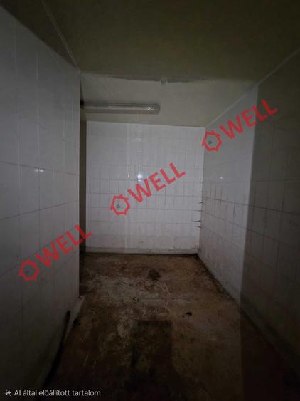 Clădire industrială de vânzare pe DN12! - 7