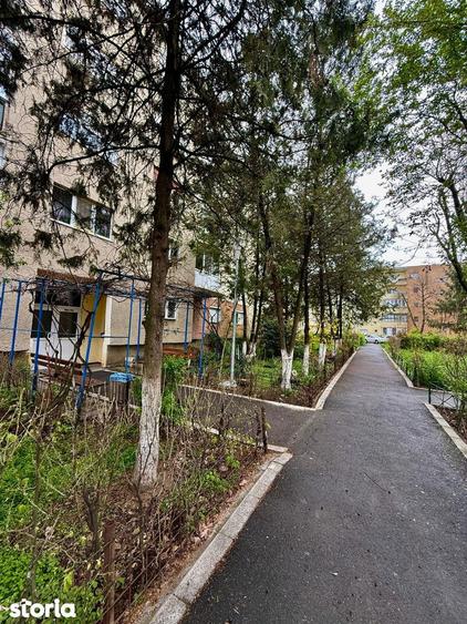 Apartament 3 camere Miorita, str. Milova - 1