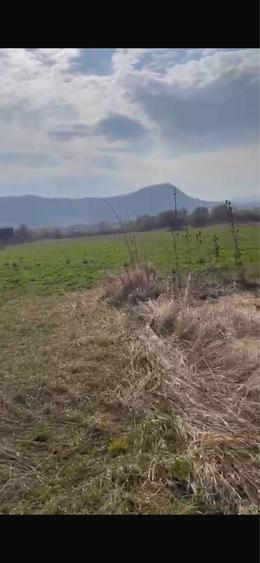 Teren intravilan cu intrare din DN17 - 6