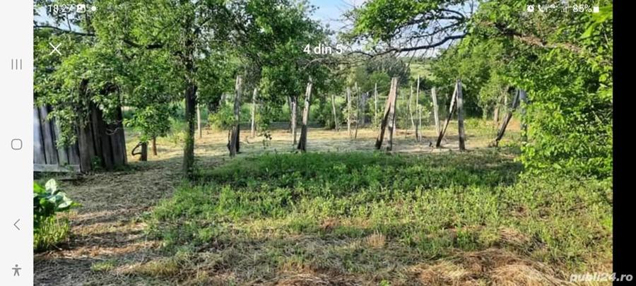 Vand Gospodarie CU Carte Funciara 3000MP - 6