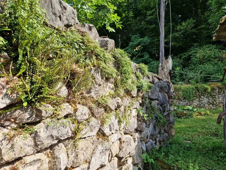 Casa intr-un loc superb - 7