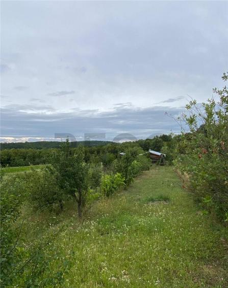 RECO Casa cu teren in Hidiselul de Sus - 1