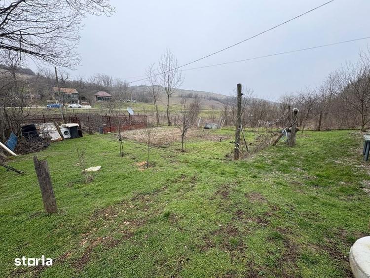 Teren 2.038 mp + Casa 50 mp de vanzare Sat Luncsoru, Com. Ghercest - 6