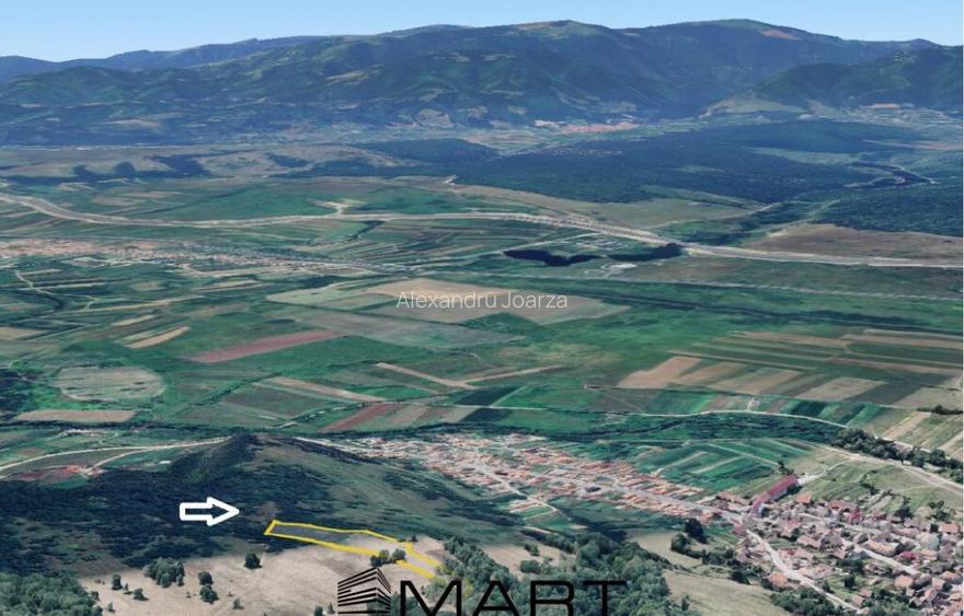 Teren extravilan 5500 mp, la padure zona Selimbar (Mohu) Teren extravilan 5500 mp, la padure zona Selimbar (Mohu)