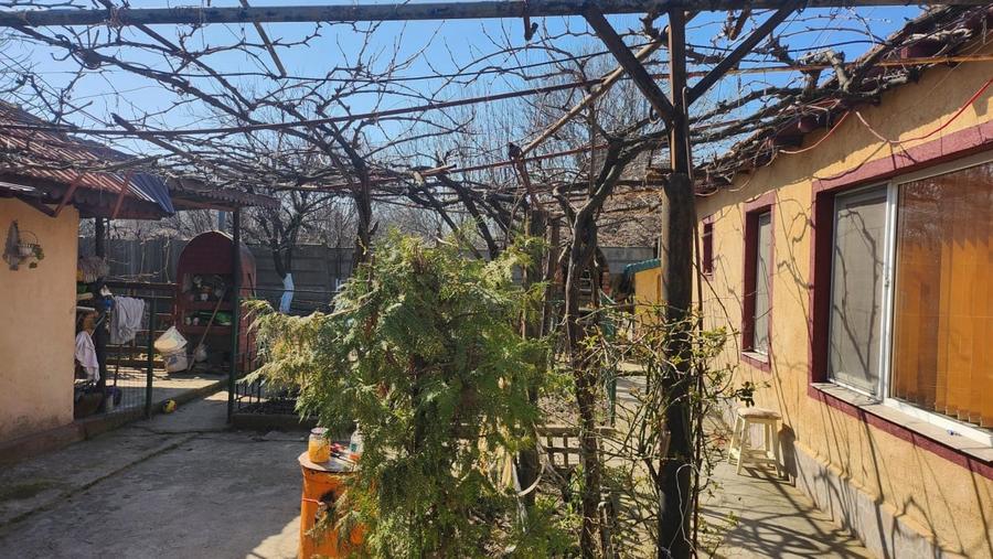 Casa 3 camere, Viile Noi ,teren 461 mp - 4