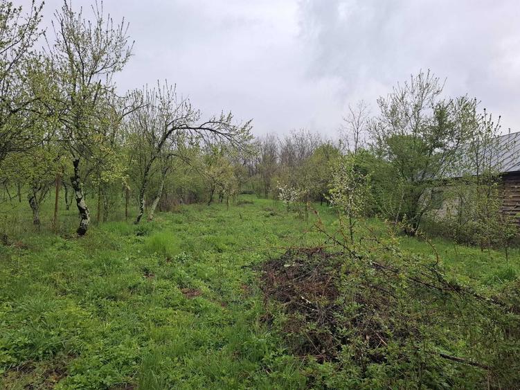 vand teren intravilan 3065 mp f aproape de Valenii de munte - 7