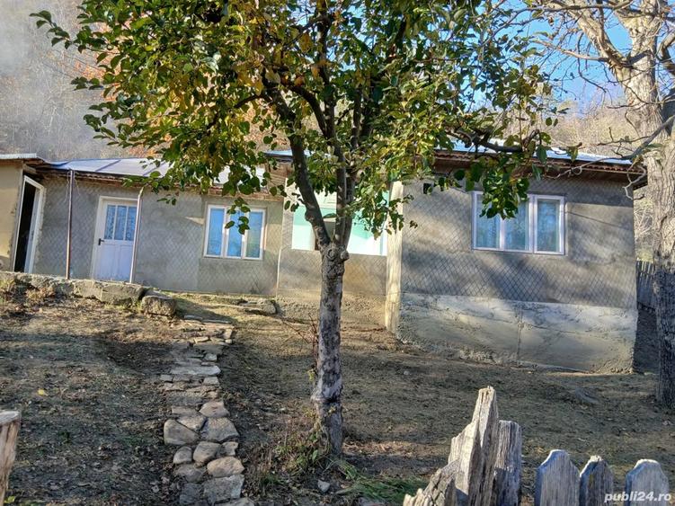 Vand casa Reghiu - 1