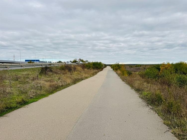 Teren extravilan Chitila/Mogosoia 15895mp - 3