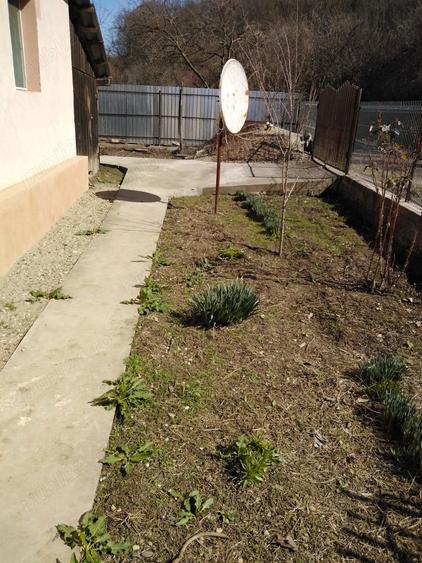 Casa de vanzare in Jupanesti - 4