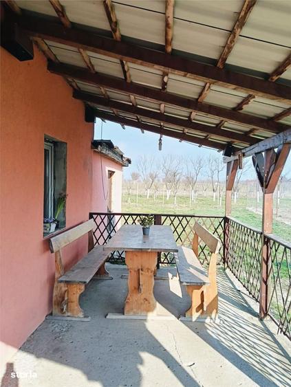 5 Camere - la 15 km de Arad - 1