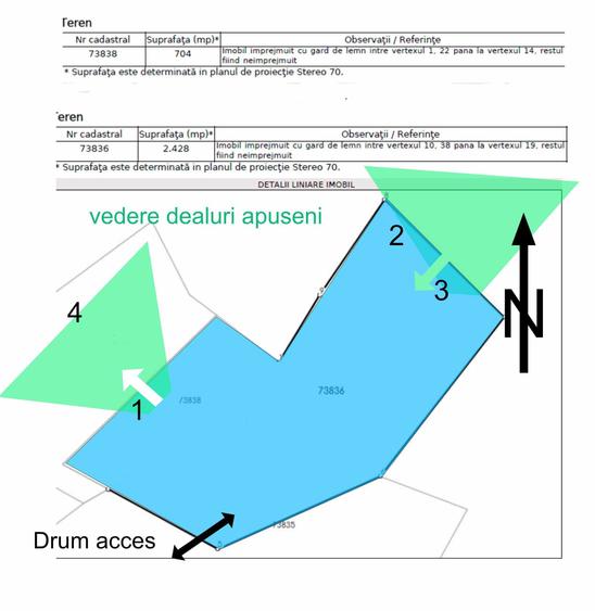 Teren de vanzare Apuseni - 3