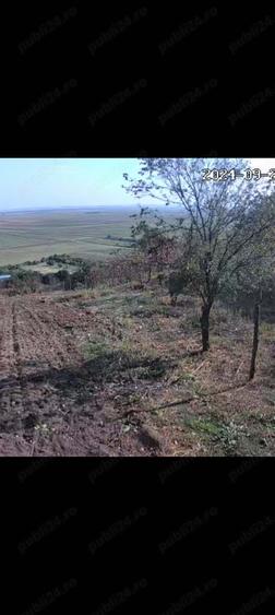 Casa de vanzare Baneasa - 8