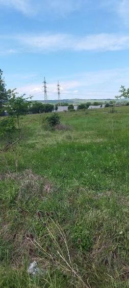 Inchiriez 10.000 mp Halinga - 3